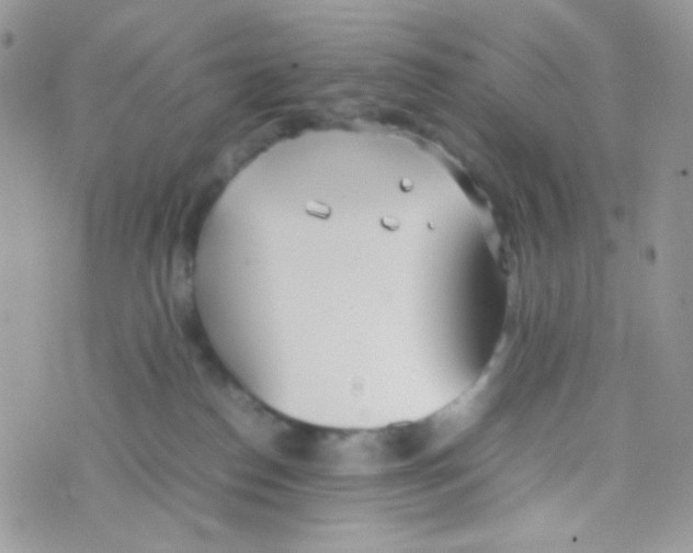 X0000074950186200609291857