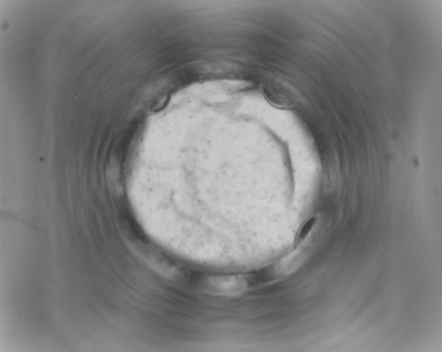 X0000074950187200609291857