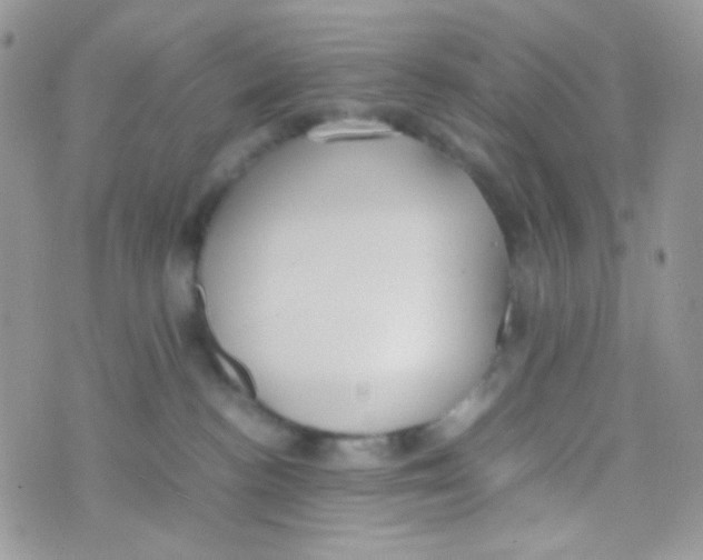 X0000074950188200609291857