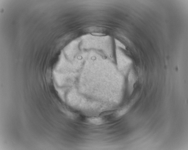 X0000074950189200609291857