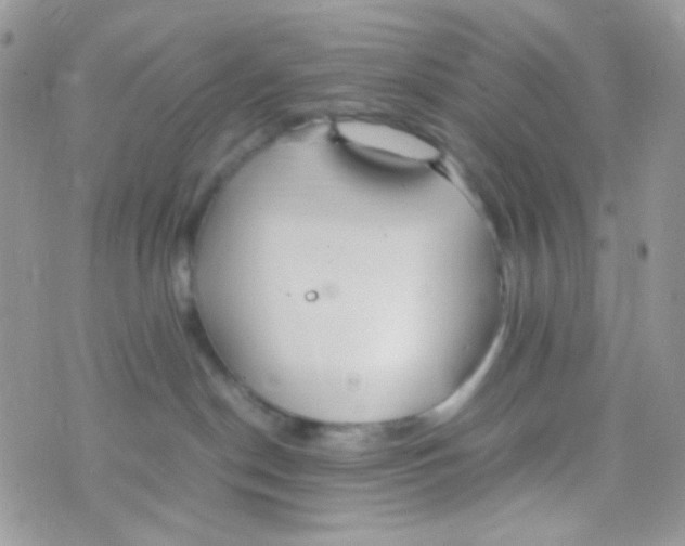 X0000074950190200609291857