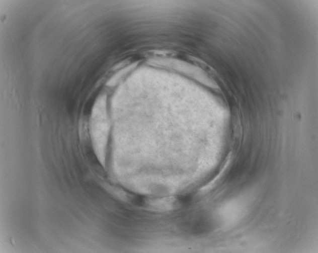 X0000074950191200609291857