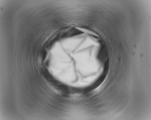 X0000074950192200609291857