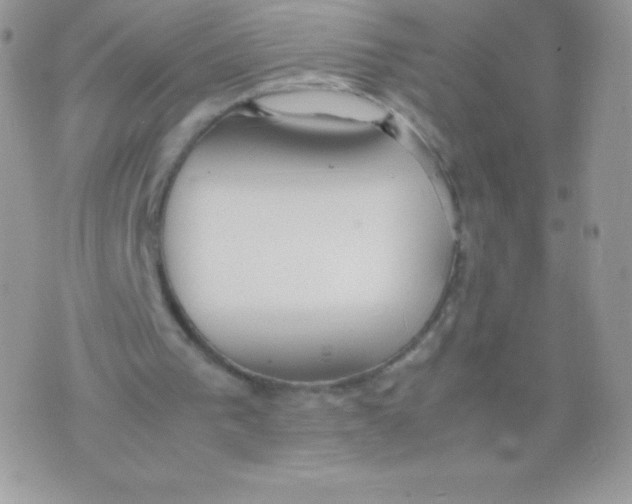 X0000074950193200609291856