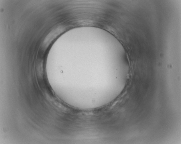 X0000074950194200609291856