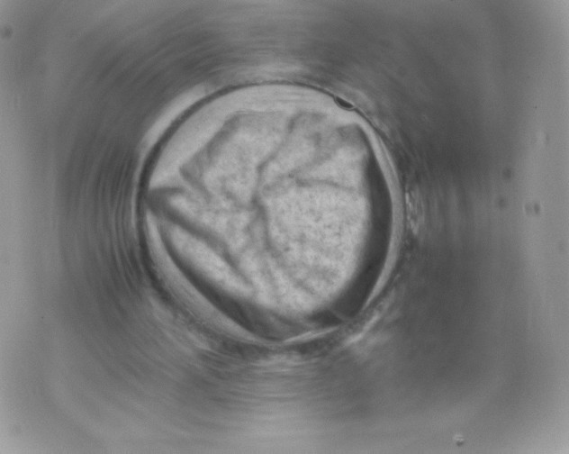 X0000074950196200609291856