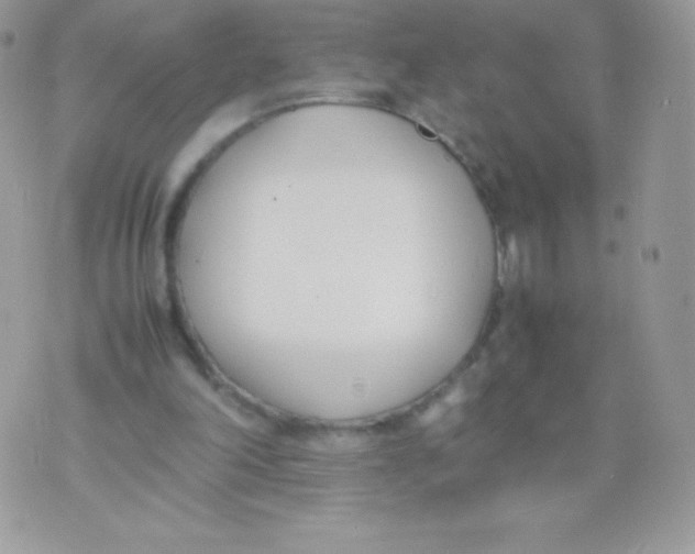 X0000074950198200609291856