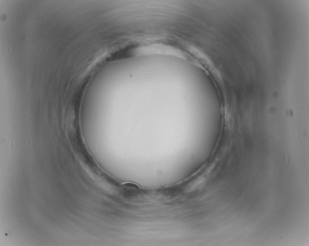 X0000074950201200609291856