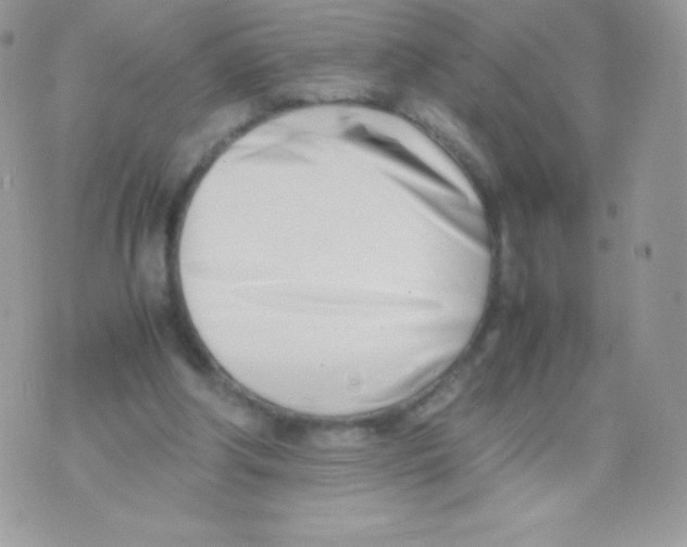 X0000074950202200609291856