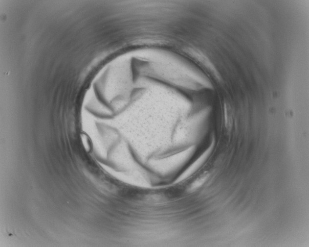 X0000074950204200609291856