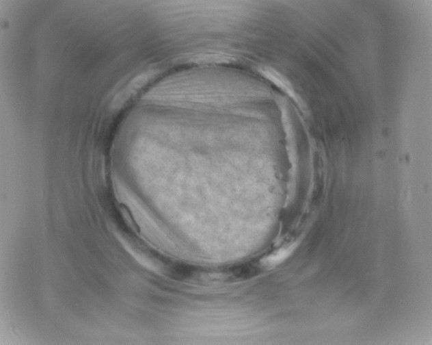 X0000074950205200609291856