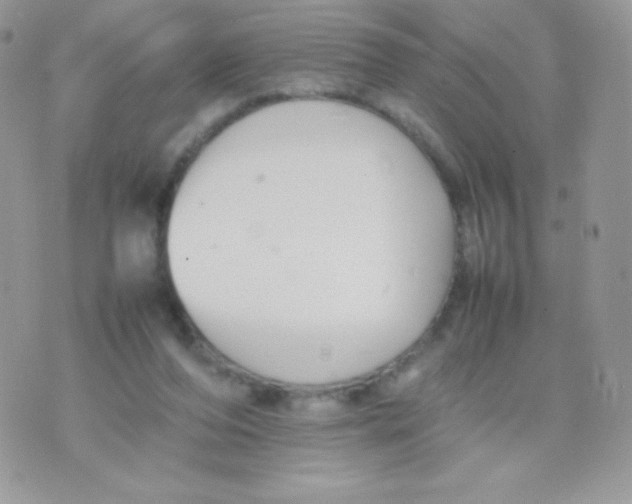 X0000074950208200609291856