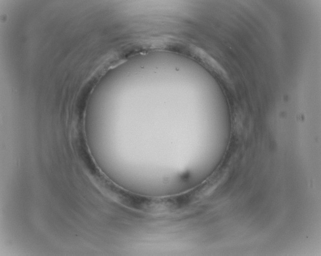 X0000074950209200609291856