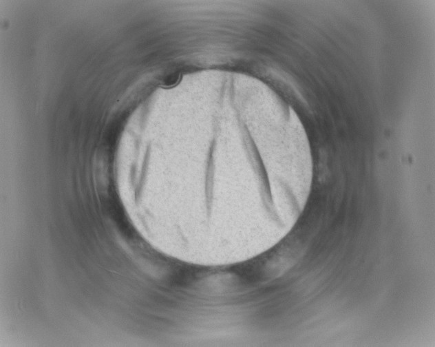 X0000074950210200609291856