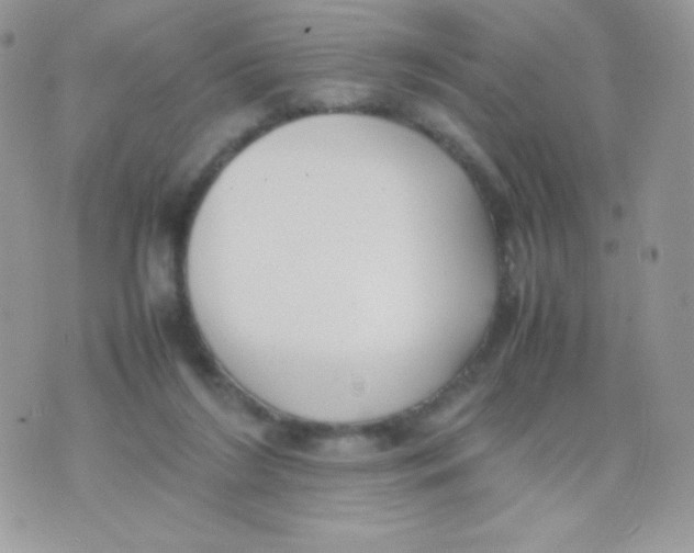 X0000074950212200609291856