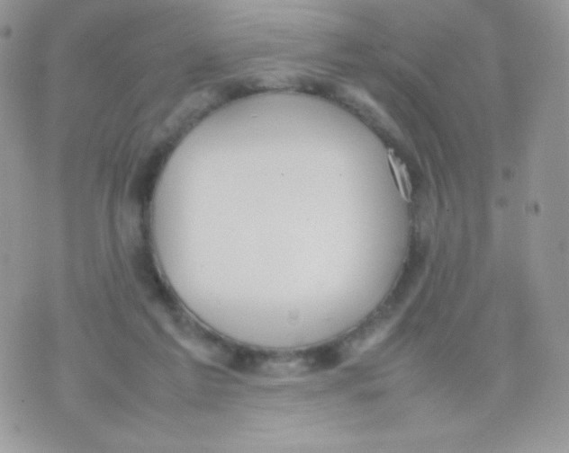 X0000074950213200609291856