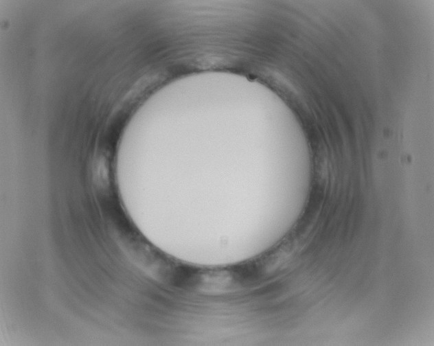 X0000074950214200609291856