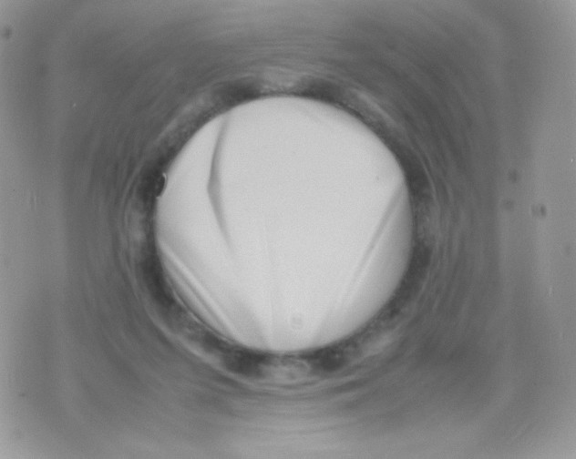 X0000074950215200609291856