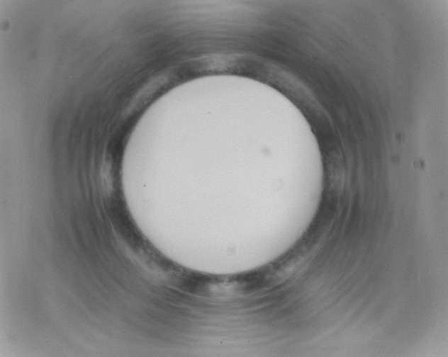 X0000074950216200609291856