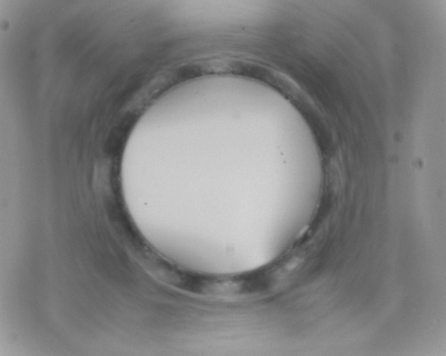 X0000074950217200609291855