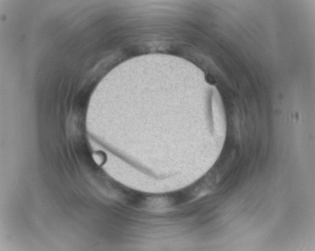 X0000074950218200609291855