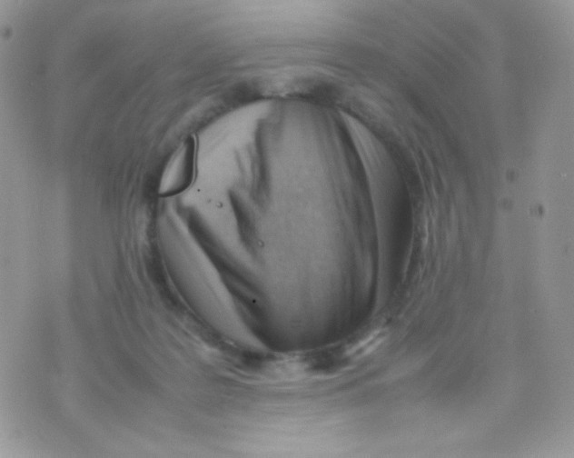 X0000074950219200609291855