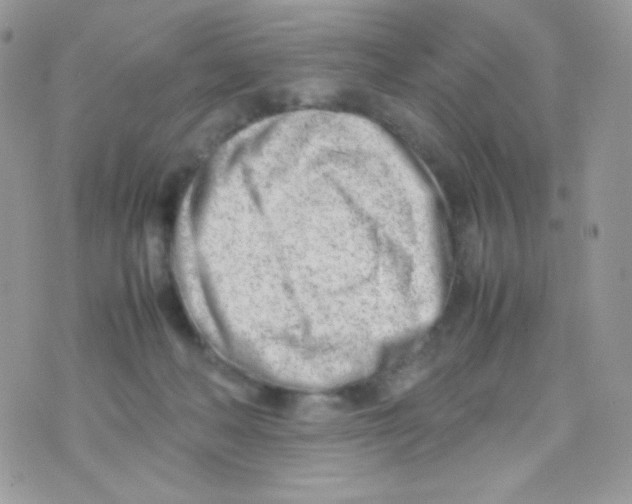 X0000074950222200609291855