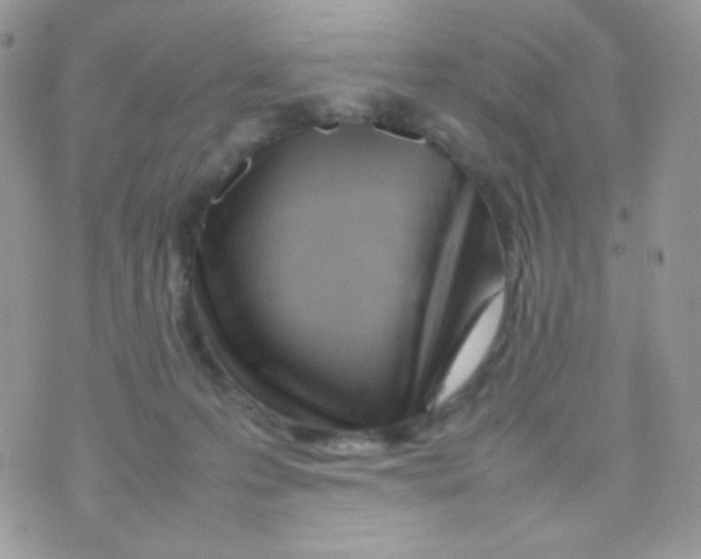 X0000074950223200609291855