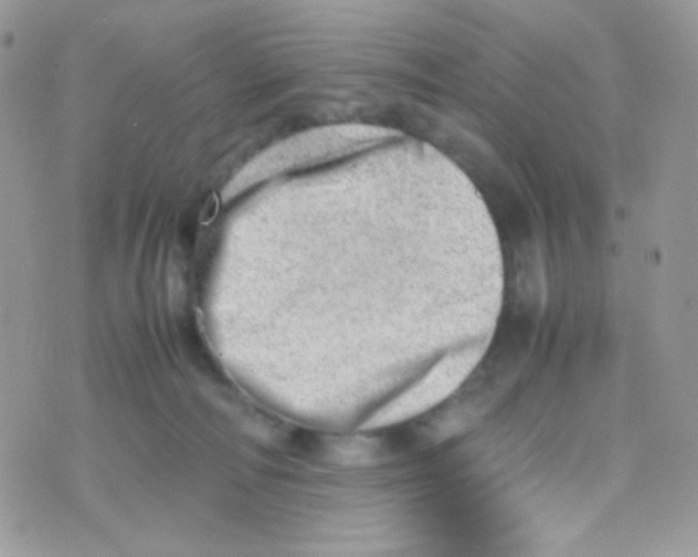 X0000074950226200609291855