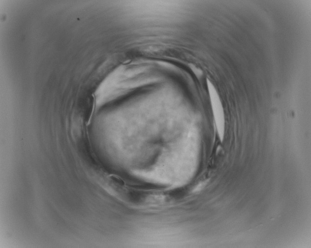 X0000074950227200609291855