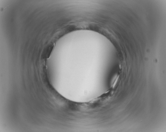 X0000074950229200609291855