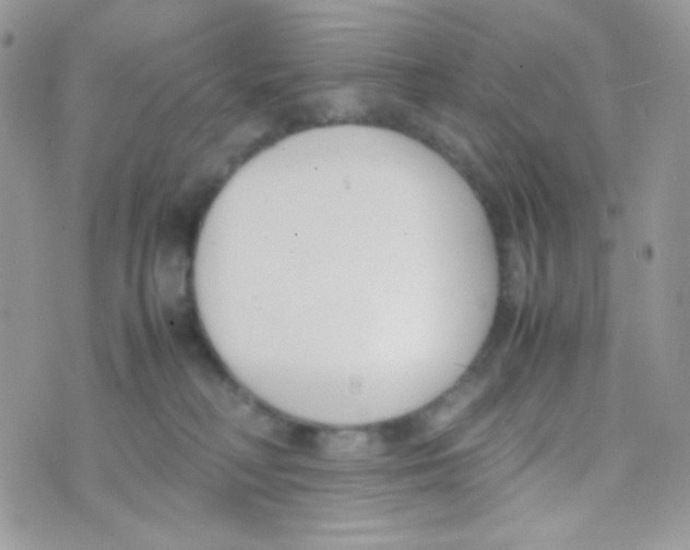 X0000074950230200609291855