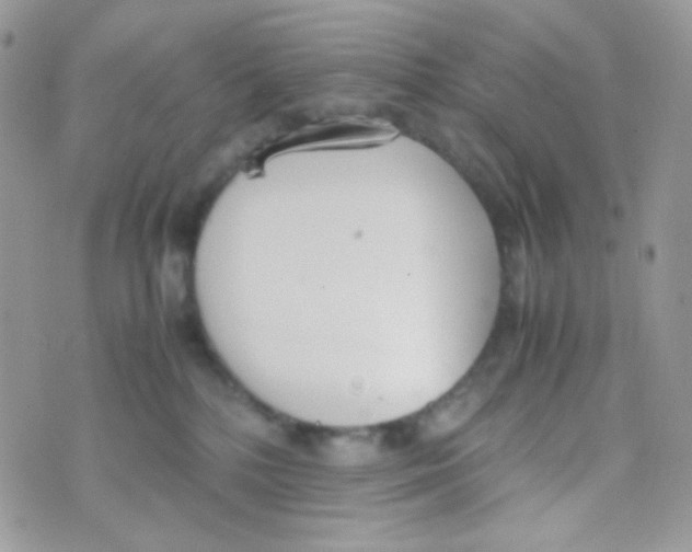 X0000074950232200609291855