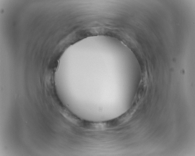 X0000074950233200609291855