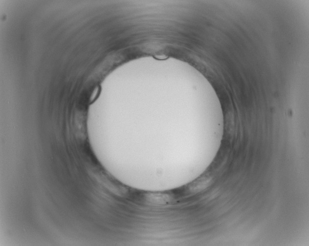 X0000074950234200609291855