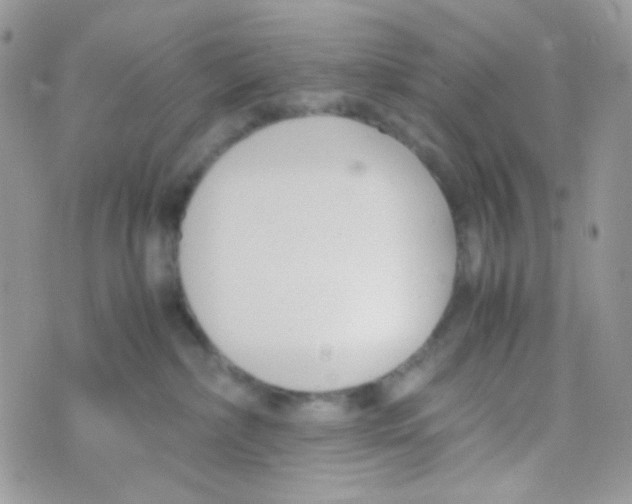 X0000074950236200609291855