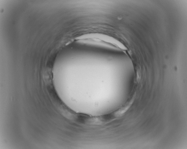 X0000074950237200609291855