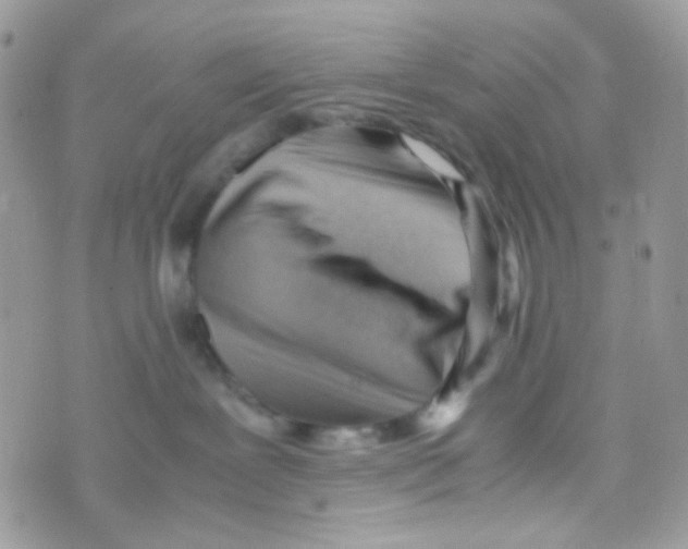 X0000074950239200609291855