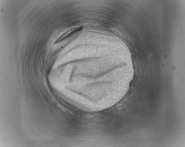 X0000074950241200609291854