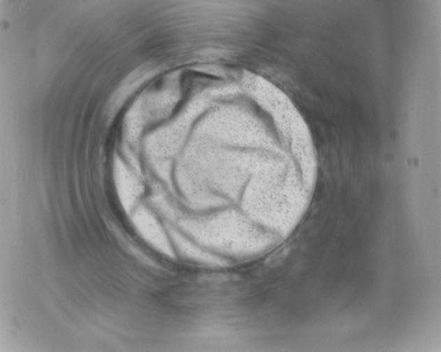 X0000074950242200609291854