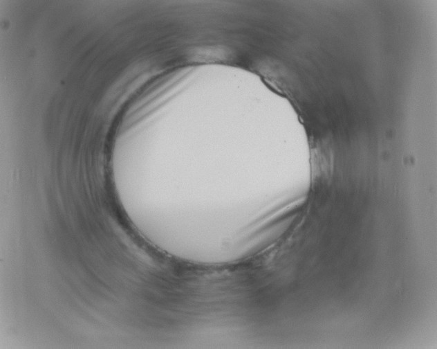 X0000074950243200609291854