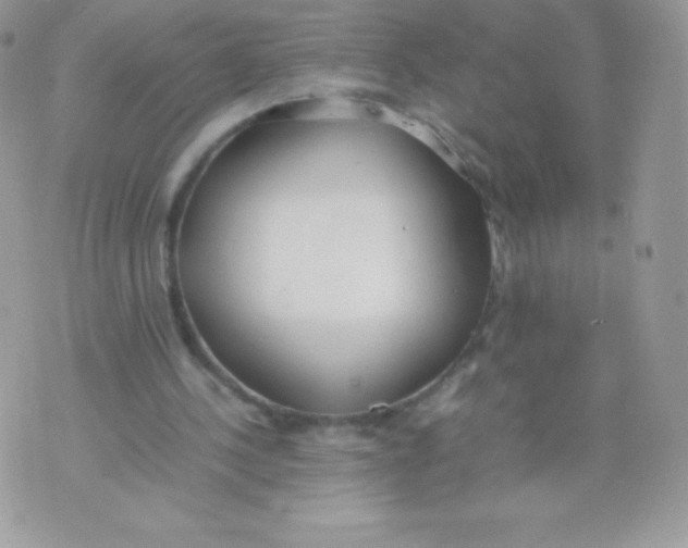 X0000074950244200609291854