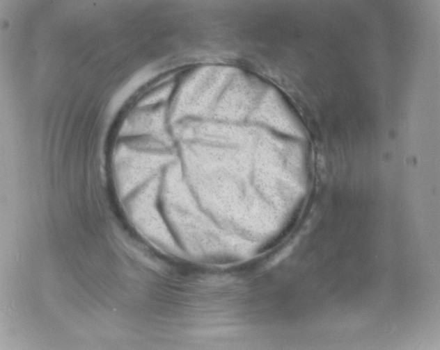 X0000074950246200609291854