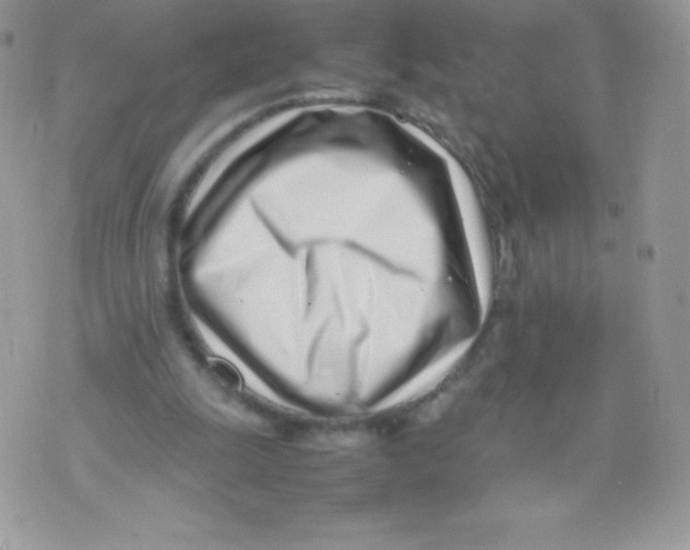 X0000074950247200609291854