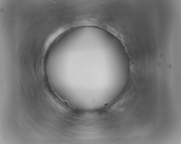 X0000074950248200609291854