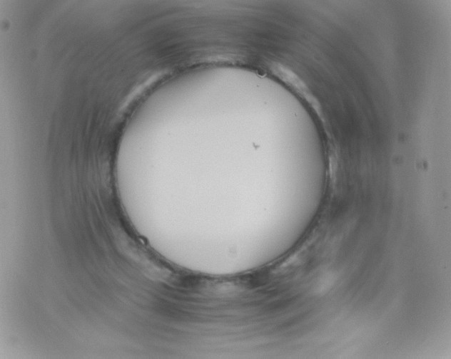 X0000074950249200609291854