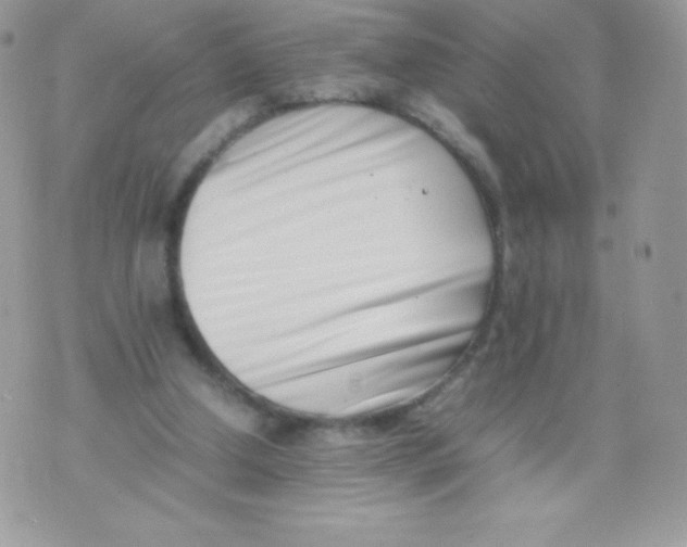 X0000074950250200609291854