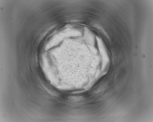 X0000074950251200609291855