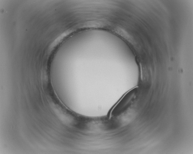 X0000074950252200609291855