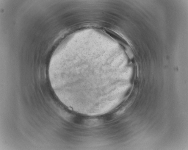 X0000074950253200609291855